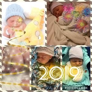 Meet your Posher, Pamela